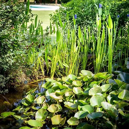 Le Champ Du Renne Panzió *