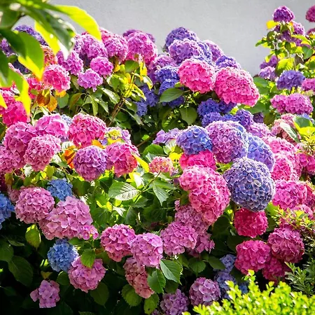 Le Champ Du Renne Panzió *