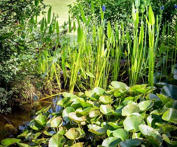 Le Champ Du Renne فندق مبيت وإفطار *