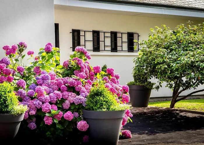 Le Champ Du Renne Oda ve Kahvaltı